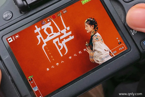 带爸妈去西藏玩多少钱