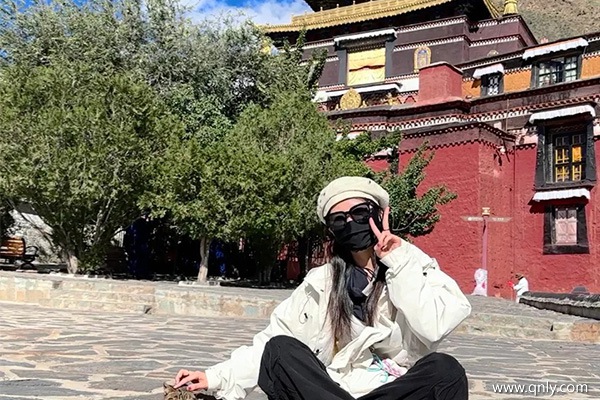 成都去西藏旅游的费用?